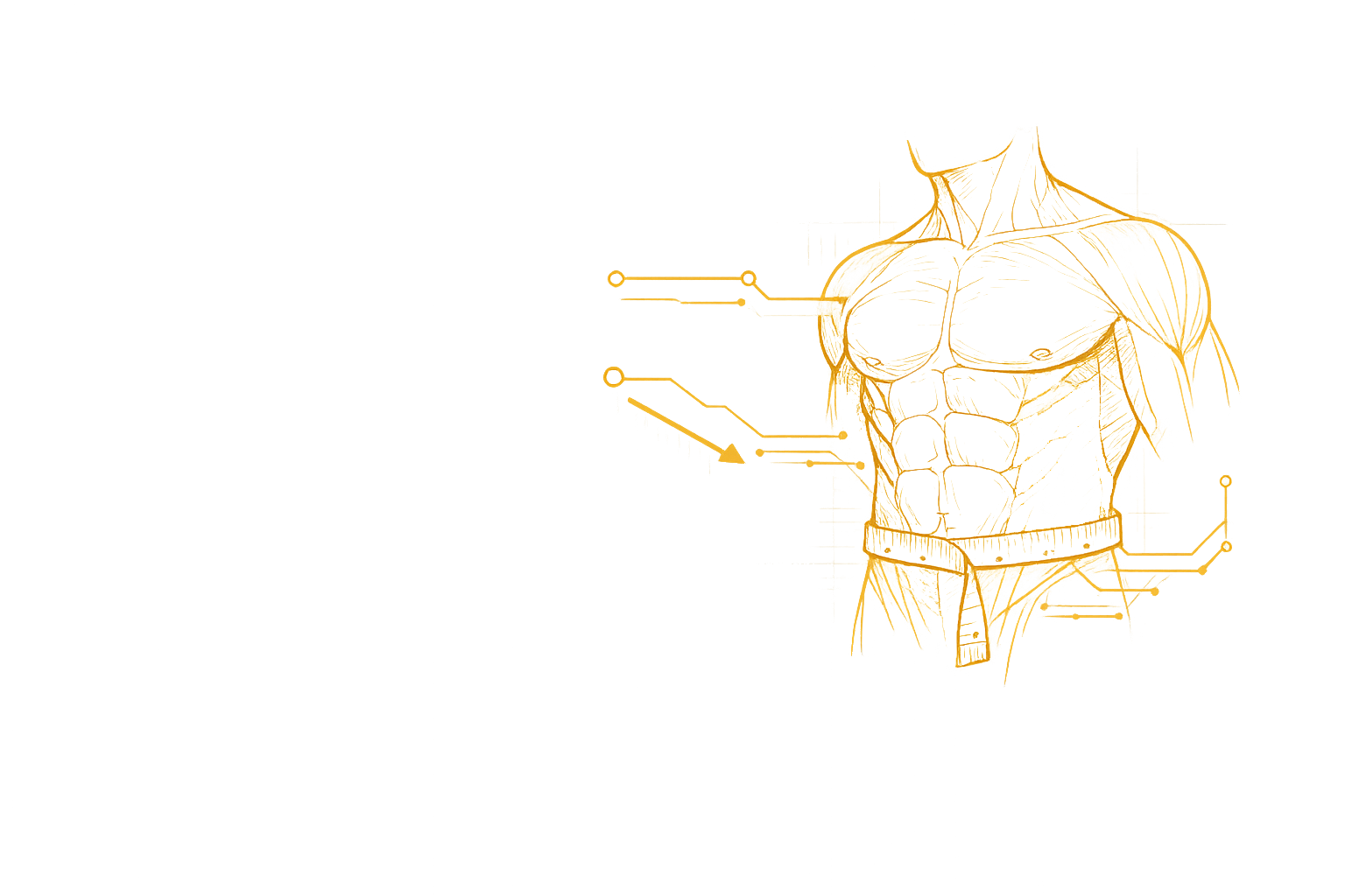 Torso Overlay